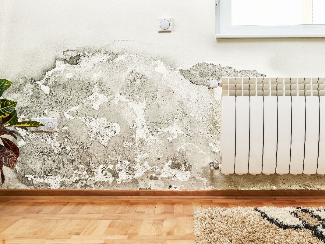 Imperméabilisation des murs contre les infiltrations d'eau